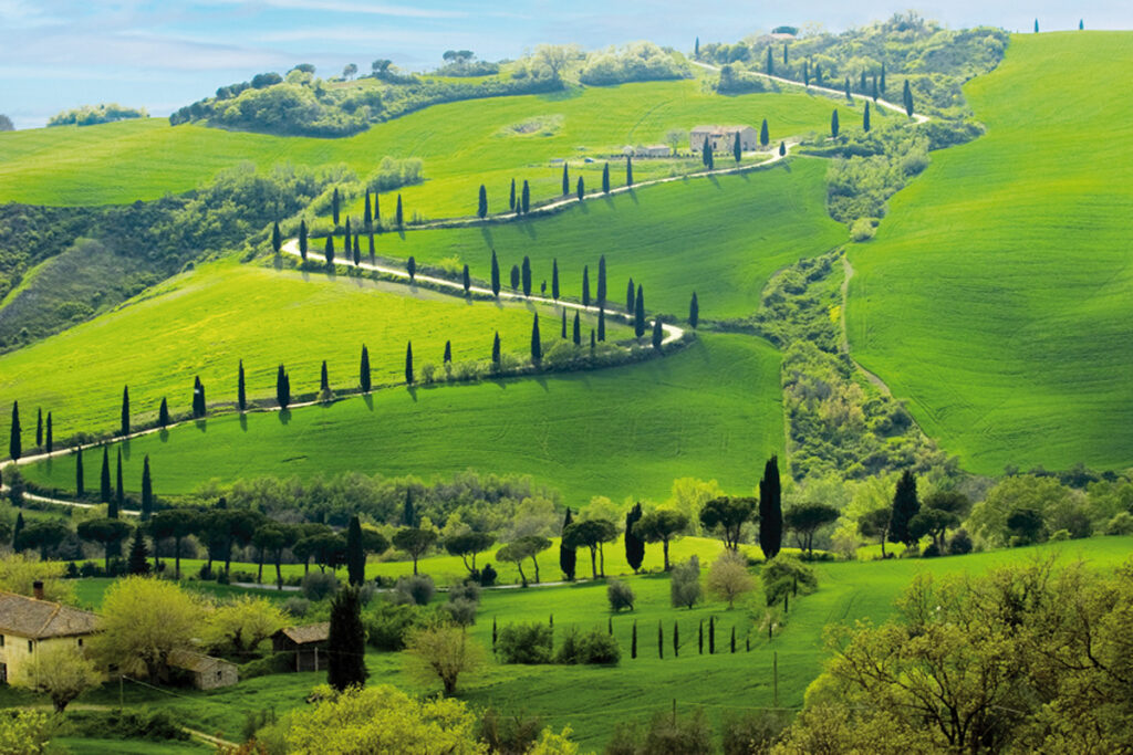 Toskana & Cinque Terre - grüne Hügel